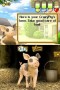 Crazy Pig (NDS)