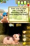 Crazy Pig (NDS)