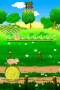 Crazy Pig (NDS)
