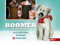 Boomer, der Streuner (Here's Boomer)