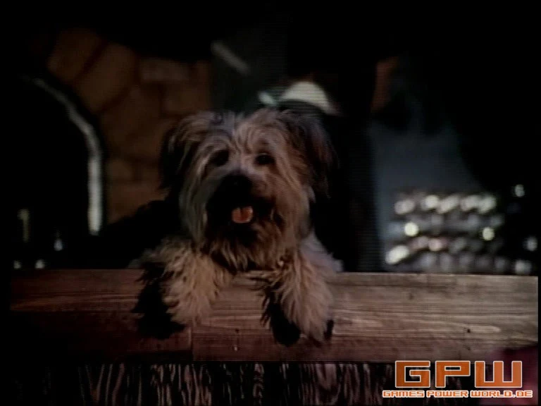 Boomer, der Streuner (Here's Boomer)