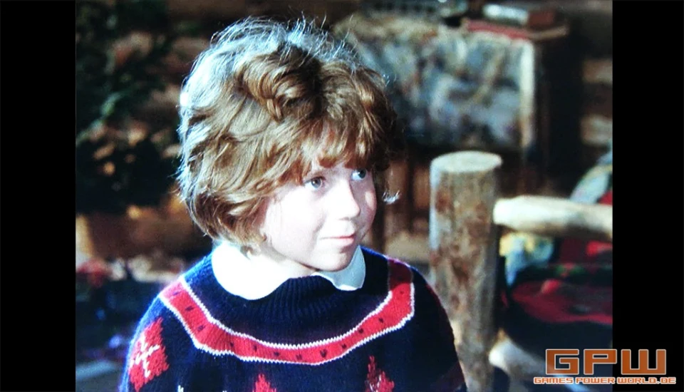 Die Abenteuer der Familie Robinson in der Wildnis - Komplettbox (1975 / 1978 / 1979)