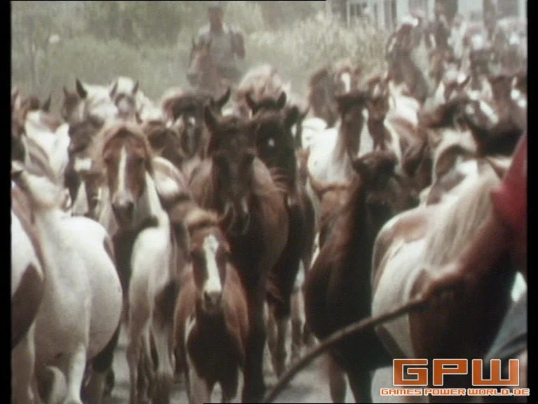 Im Reich der wilden Tiere (Mutual of Omaha's Wild Kingdom) - Staffel 1