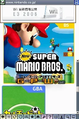 Nintendo DS Browser