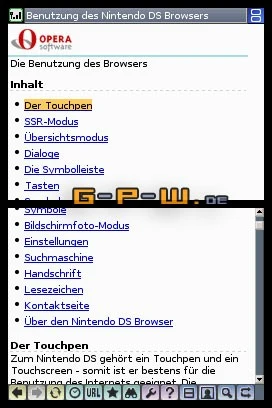 Nintendo DS Browser