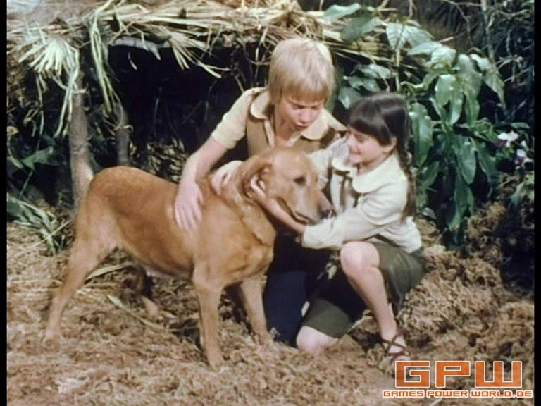 Die Schweizer Familie Robinson (Swiss Family Robinson)