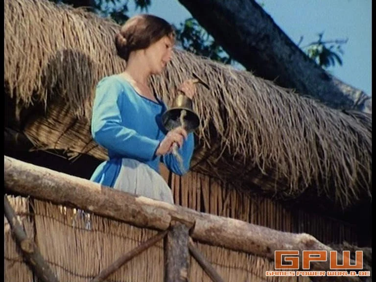 Die Schweizer Familie Robinson (Swiss Family Robinson)