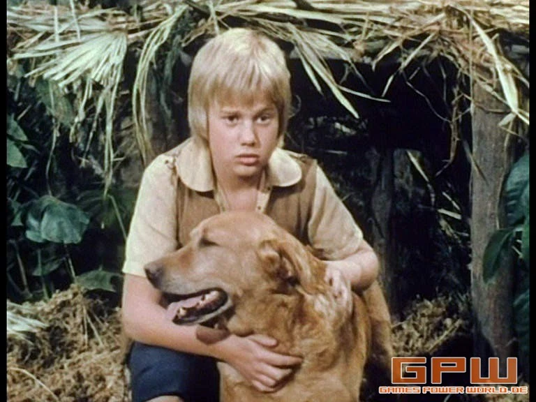 Die Schweizer Familie Robinson (Swiss Family Robinson)