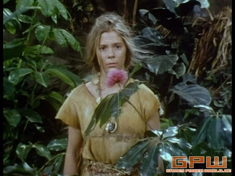 Die Schweizer Familie Robinson (Swiss Family Robinson)