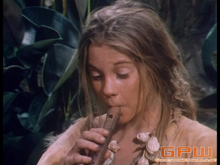 Die Schweizer Familie Robinson (Swiss Family Robinson)