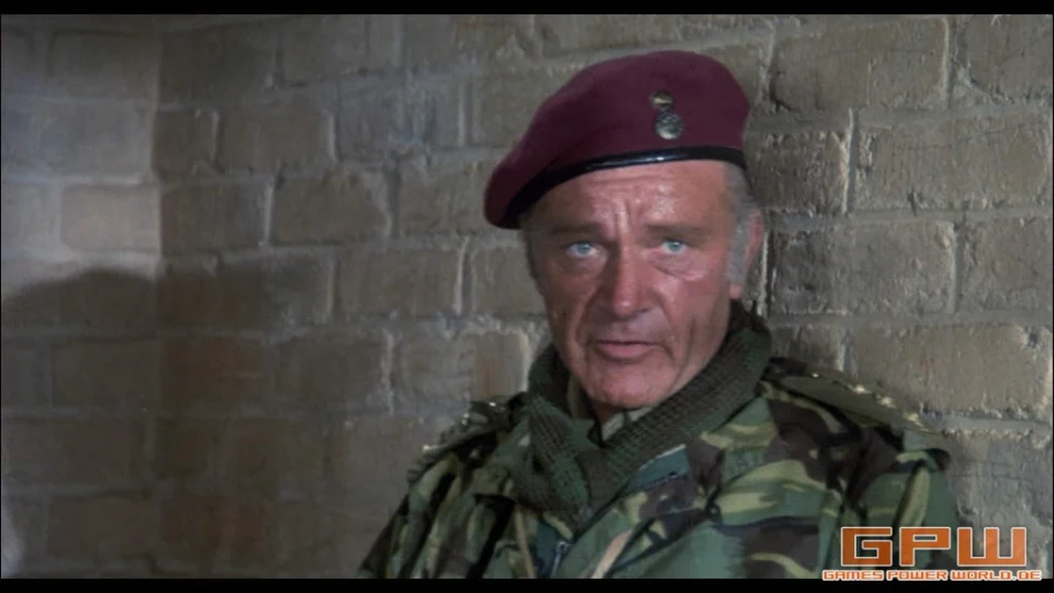 Die Wildgänse kommen (The Wild Geese)