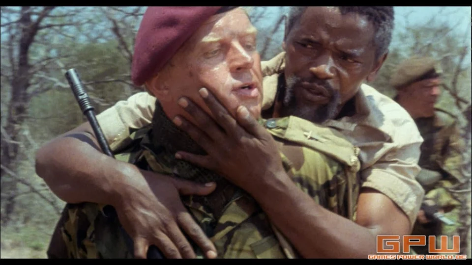 Die Wildgänse kommen (The Wild Geese)