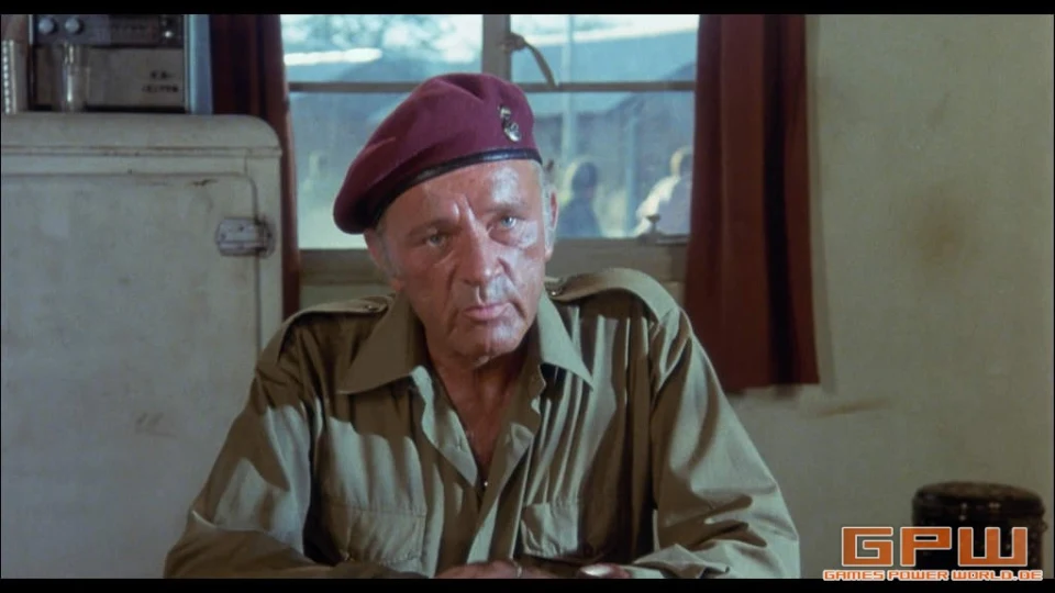 Die Wildgänse kommen (The Wild Geese)