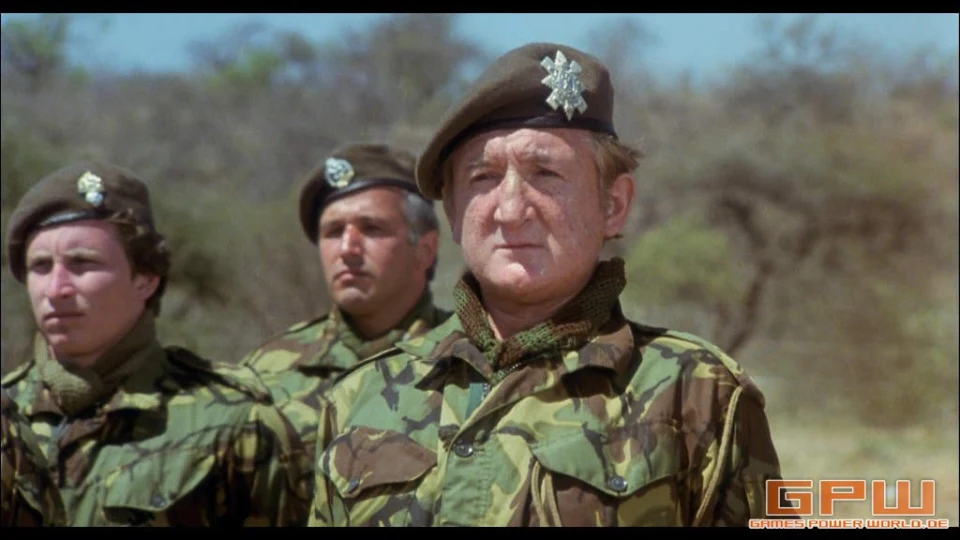 Die Wildgänse kommen (The Wild Geese)