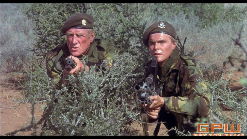 Die Wildgänse kommen (The Wild Geese)