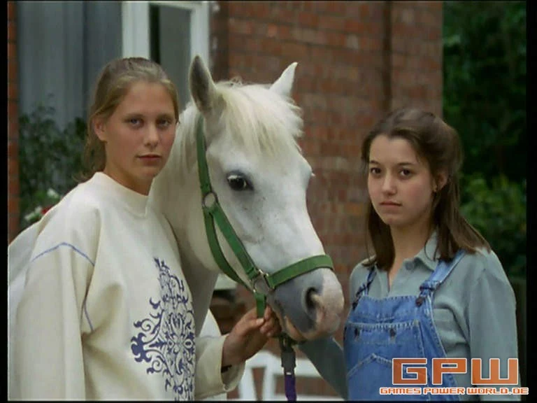 Neues vom Süderhof - Staffel 4 ("Süderhof II")