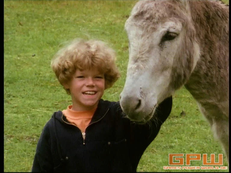 Neues vom Süderhof - Staffel 5 ("Süderhof II")