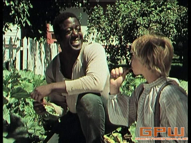 Die Abenteuer von Tom Sawyer und Huckleberry Finn