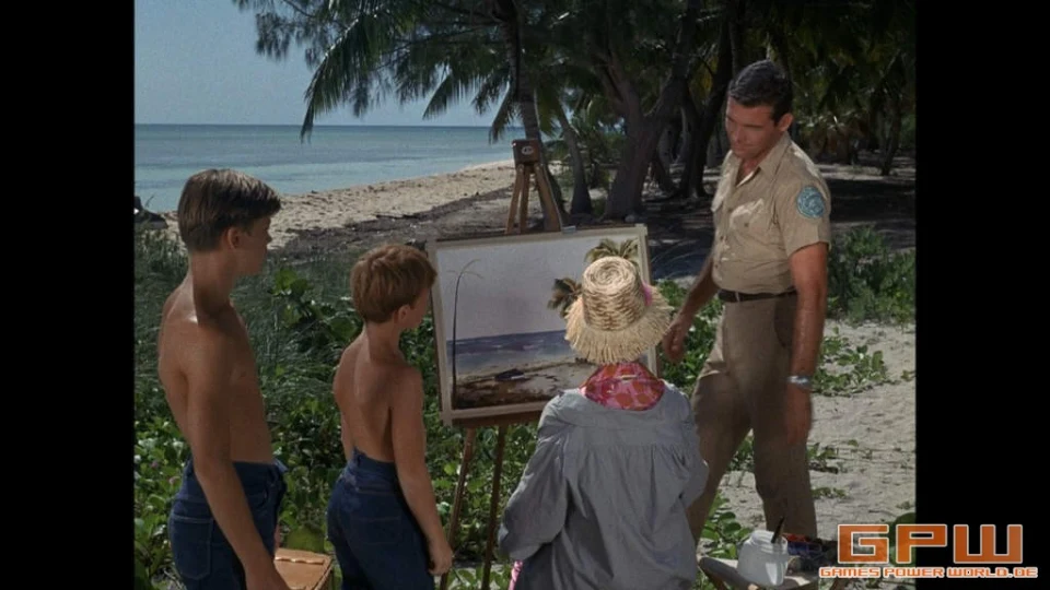 Flipper - Staffel 1 (Blu-ray)