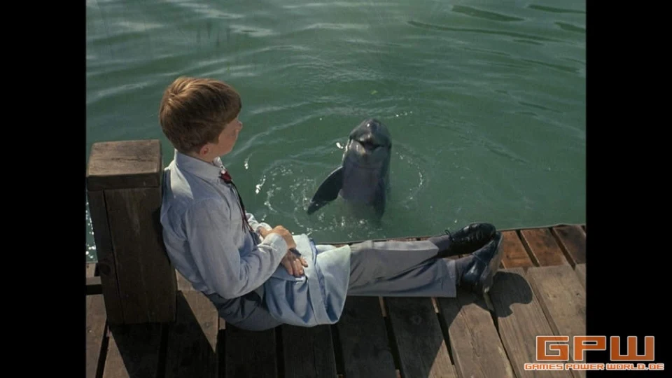 Flipper - Staffel 1 (Blu-ray)