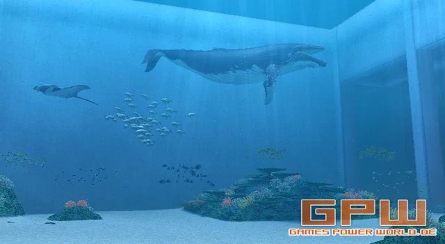 Endless Ocean (Wii)