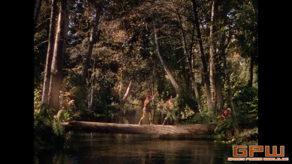 Die Abenteuer des Robin Hood - König der Vagabunden (The Adventures of Robin Hood)