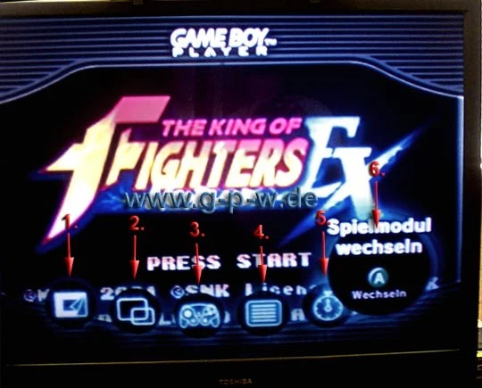 Nintendo GBA Player (Gamecube)