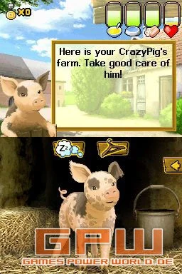 Crazy Pig (NDS)