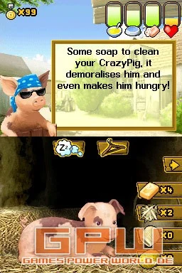 Crazy Pig (NDS)