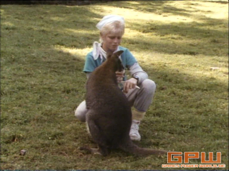 Zoo-Abenteuer (Zoo Family)