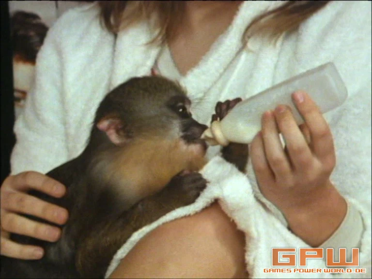 Zoo-Abenteuer (Zoo Family)