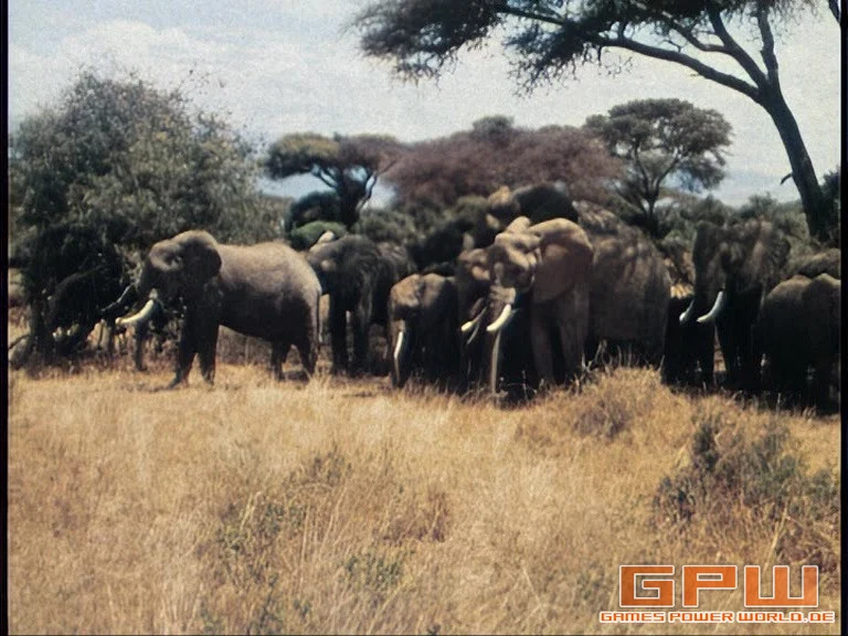 Im Reich der wilden Tiere - Gesamtedition