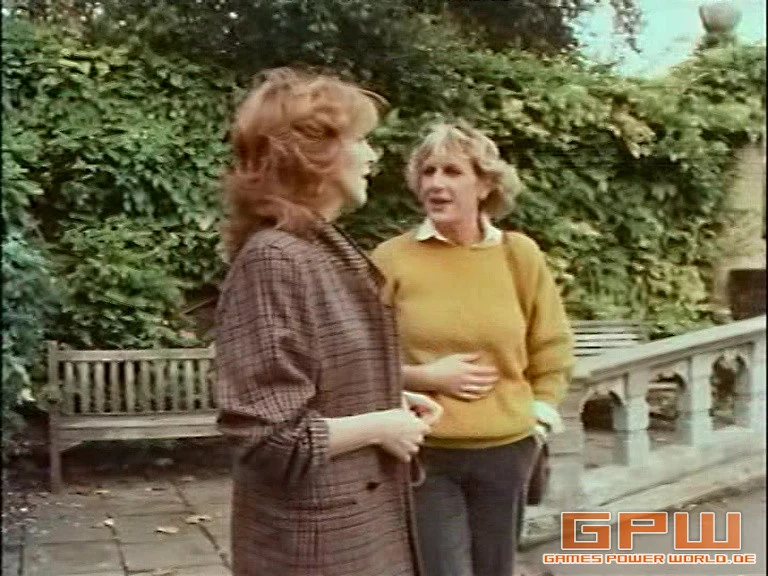Harte Fälle in zarten Händen (Jemima Shore Investigates)