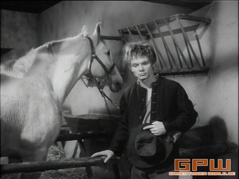 Der Fall Kaspar Hauser
