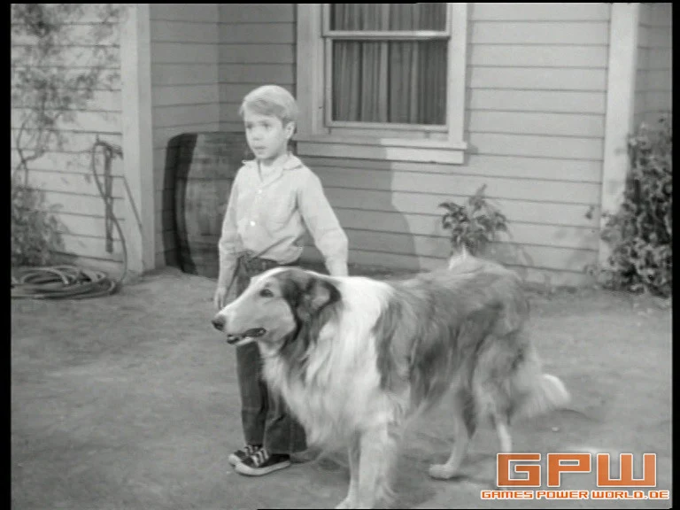 Lassie - Collector's Edition