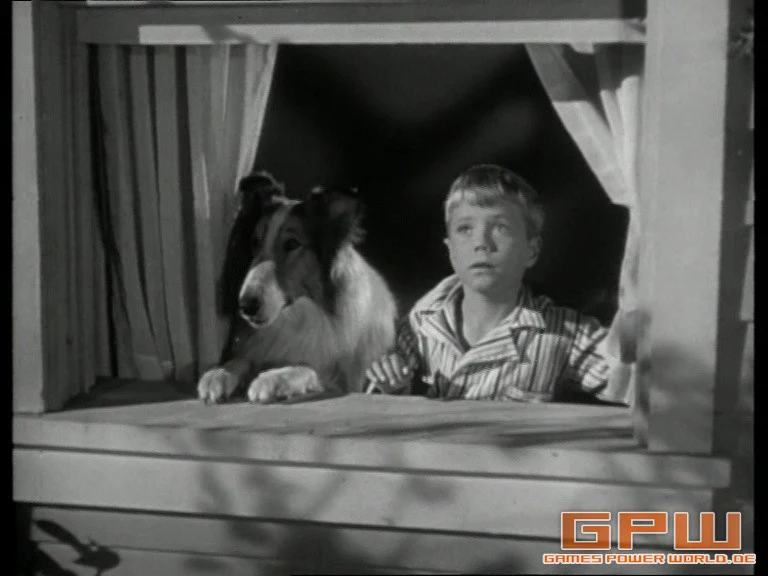 Lassie - Collector's Edition