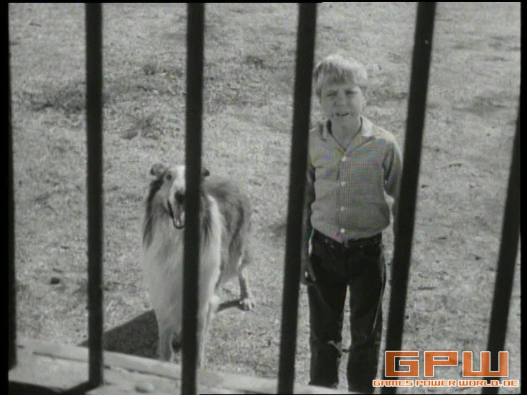 Lassie - Collector's Edition