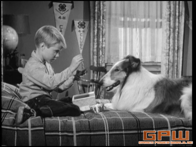 Lassie - Collector's Edition