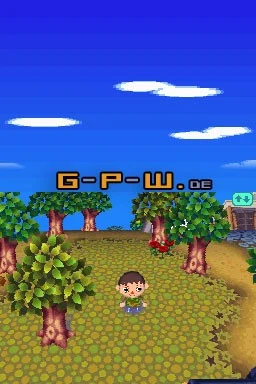 Animal Crossing Wild World (Nintendo DS)