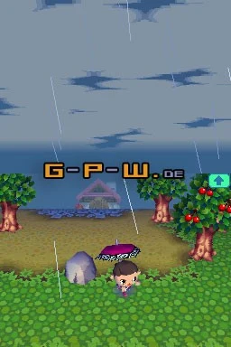 Animal Crossing Wild World (Nintendo DS)