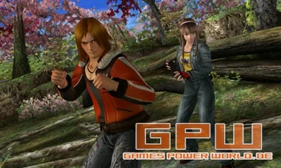 Dead or Alive Dimensions