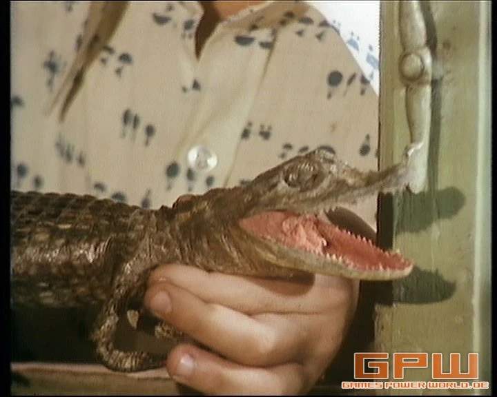 Das Haus der Krokodile - Die komplette Serie