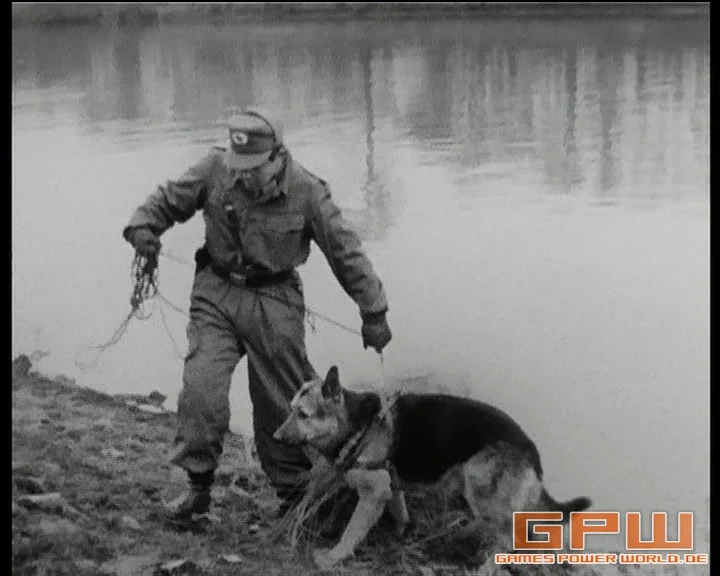 Harras der Polizeihund
