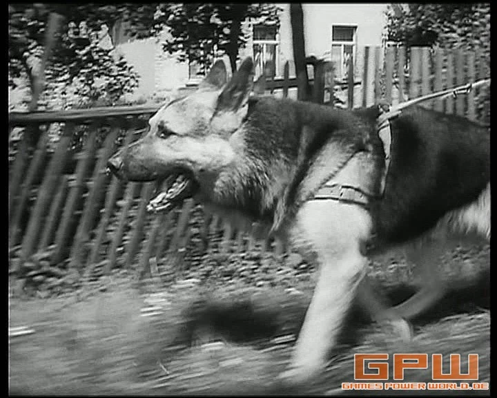 Harras der Polizeihund