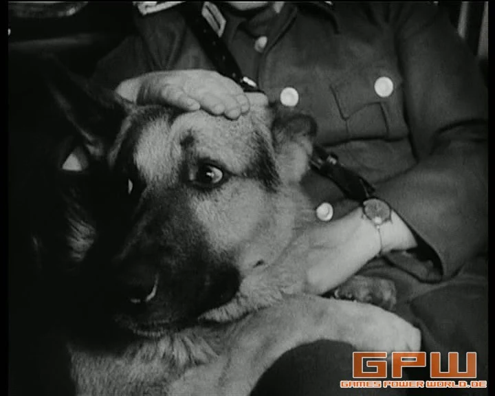 Harras der Polizeihund