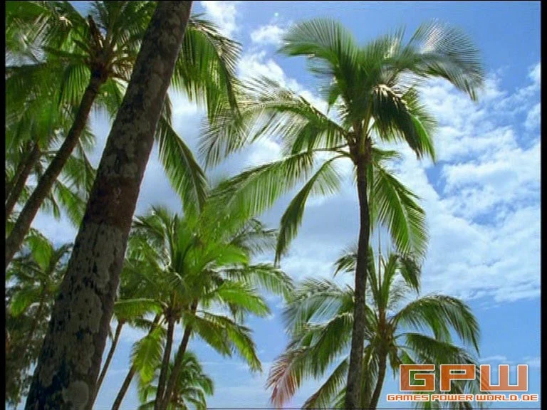 Baywatch Hawaii - Die Komplett-Box