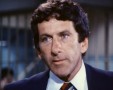 Petrocelli - Staffel 2 (Serie aus den 70er)