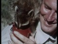 Im Reich der wilden Tiere (Mutual of Omaha's Wild Kingdom) - Staffel 1