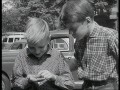 Unser Pauker - Alltagsgeschichten einer Berliner Familie