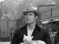 Bronco (Westernserie von 1958 bis 1962)